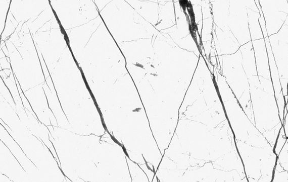 natural elm
